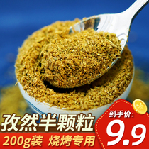 BBQ cumin powder 200g barbecue seasoning authentic Xinjiang mutton skewer sprinkle snack fried skewers marinade