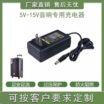 9V audio charger universal 12V13 5v Wanli Da Xenko 15V2A square dance lever audio 14V power supply
