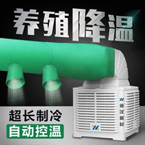 Chiller farm special industrial cooling large cooling fan super wind Big Pig farm water cooling air conditioning commercial
