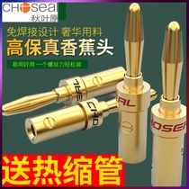 Choseal Choseal gold plated banana head audio cable plug Audiophile grade amplifier speaker connector Welding-free copper alloy speaker wire terminal terminal connector diy wiring screw
