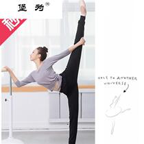 School dance body practice suit suit radish pants small feet closing cotton yoga trousers men and women m summer