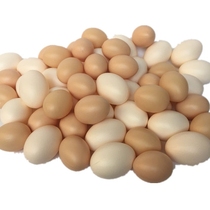 Simulation egg model plastic fake egg childrens toy house early education White egg kitchen dish props