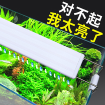 Fish tank light led light Waterproof lighting Aquarium full spectrum small brightening bracket clip explosion-proof algae light Aquatic plant light