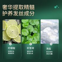 Snow Grass Hair Care Sea Salt Control Oil Scalp Frosted Cream Hair Fluffy Shampoo for dandruff