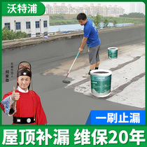 Waterpool waterproof coating large-area surface repair material Roof roof roof bathroom leak-proof cement glue