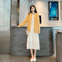 Pregnant women Spring and Autumn chiffon dress fashion loose set 2021 Spring and Autumn new can breastfeed two-piece Hot Mom