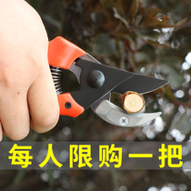 Gardening pruning scissors pruning shears pruning branches repairing potted pruning flowers cutting garden scissors