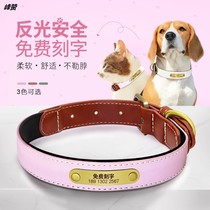 Luminous dog collar lettering cat small dog medium-sized bell collar large pet anti-lost dog tag