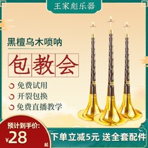 Wang Jia Biao Suona Musical Instrument Full Set of Beginner National Musical Instrument Horn D-Tune Trumpet Professional Suona Performance Service