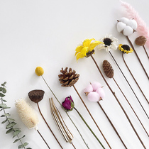 ins Net red Natural dried flower bouquet Immortal air-dried real flower living room decoration ornaments pine cone cotton wheat ear decoration