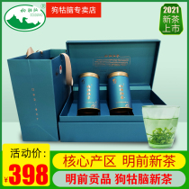 Jiangxi Dog Brain tea 2021 New tea Green Tea Ming Qian Tribute Premium Spring tea Alpine Tea gift box gift