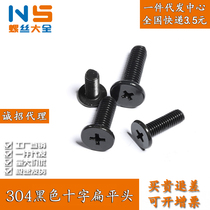 M1 6M2M2 5M3-M6 Black 304 stainless steel cross flat head screw Notebook digital short screw