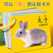 Animal Card Early Teaching Cognitive Childrens Literacy Card Told Kindergarten to Read Literacy Image Baby Enlightenment Book