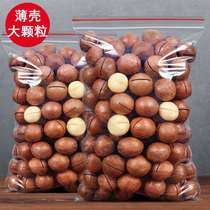 New Macadamia nuts 500g bulk net weight 2 kg Cream flavor new Year summer fruit weighing 250g dried nut snacks