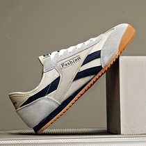 Mens shoes Summer breathable 2022 new mens sports casual board shoes Mens Korean version trendy sails fabric shoes mens wave shoes