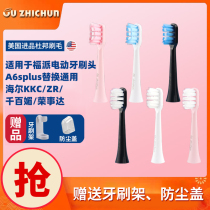 Suitable for Fupai electric toothbrush head A6splus replacement General Haier kkkc ZR Qianmei Rongshida