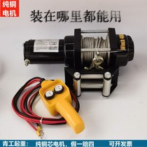 Electric winch 48V car small crane 48V electric hoist winch 60V small winch 60 Volt tricycle motor