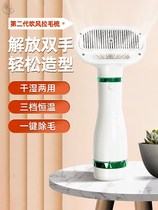 Pet Electric Hair Dryer Bath Theorizer Blowing drying speed Dry mute Puppy kitty comb with blow-dry Rairy integrated comb