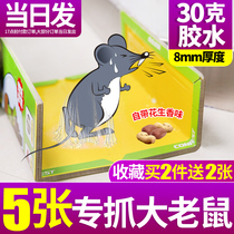 Rat catching rodent control artifact household indoor mouse paste strong mouse stick