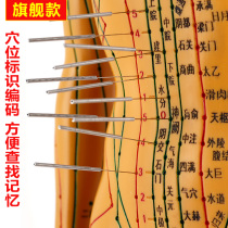 Traditional Chinese medicine Meridian acupuncture acupoint model Whole body small person can pricking needle practice skin teaching human body figure bronze man Large