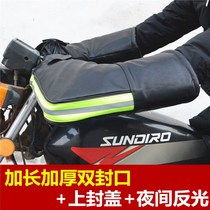 Winter straddling motorcycle handle electric car gloves tricycle cold riding waterproof windproof pup leather riding