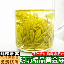 Tianyun Anji white tea 2021 new tea spring tea Mingqian premium AAAA Gold Bud Tea 250g bulk