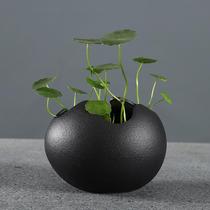 Eggshell living room ceramic hydroponic vase pot desktop flower hipster ornaments indoor green grass container