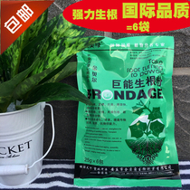 Universal rooting powder for plants powerful trees fast and strong roots root promoters liquid root enhancers fruit trees