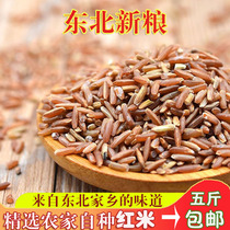 Northeast specialty farmers self-produced red brown rice red blood rice 5kg of whole grains red rice red japonica glutinous rice pure
