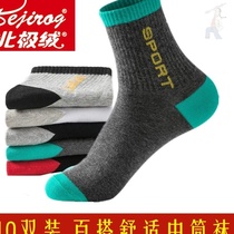 Arctic velvet socks mens mid-tube socks stealth socks Net red socks mens socks breathable cotton socks 10 pairs