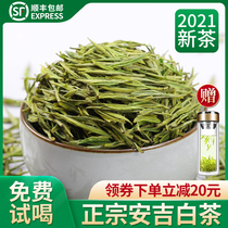 High-grade Ming Qian premium Anji white tea 2021 new tea authentic rare white tea tea tea green tea 250g bulk