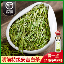 Authentic Premium 5A Anji White Tea 2021 New Tea Mingqian Golden Bud Spring Tea Bulk Tea Green Tea 250g