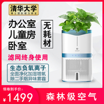 Non-consumable air purifier Negative oxygen ion household in addition to formaldehyde Small humidification second-hand smoke desktop office