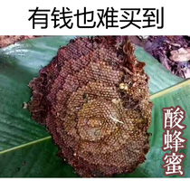 Sour Honey 500g Yunnan tropical wild honey Pure natural wild honey Underground lair honey thornless bee