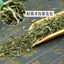 2021 Yongchuan Xiuya Yunwu Super Ming Qianmao Feng Green Tea Maojian native Alpine Tea bulk Chongqing specialty