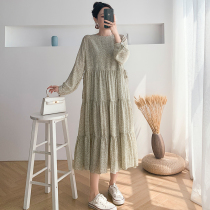 Pregnant womens autumn clothing long sleeve coat tide mother fashion foreign style age loose pregnant womens dress spring and autumn maternity dress