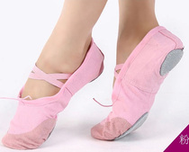 Dance Shoes Children Female Soft Solo Practice Children Dance Adult Male Body Cat Paw Chinese Classical Girls Ballet