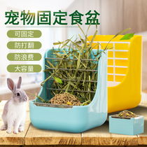 Rabbit Food Box Anti-Pickpocketing Trough Feeder Dutch Pig Dragon Cat Feed Bowl Fixed Anti-Turning Basin Two-in-one Grass Rack