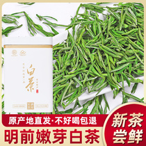 Anji White Tea 2021 New Tea Spring Tea Authentic Mingchen Special Rare White Tea Gift Box Alpine Green Tea