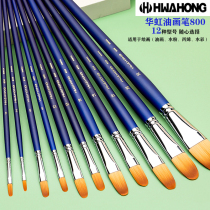 Huahong 800 round head oil painting pen Professional brush single tongue peak gouache acrylic nylon hair semicircular brush duck tongue art special single brush brush set imported from Korea HHwahong