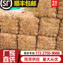 Haystack dry straw Farmhouse straw decoration Dry straw Square round haystack shooting props Haystack stool