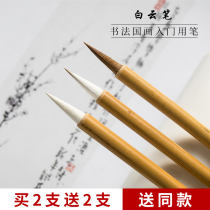 Big Baiyun brush Wolf Hao Jang Hao Xiao Kai Xiao Kai Kai Kai children Primary school children Adult beginner calligraphy Chinese painting meticulous introduction Hook pen set regular script running book Medium Large brush