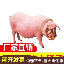 Sow mouth cover Bite-proof piglets mouth cover Pigs mouth Pigs mouth cage Pigs mouth cage Pigs mouth cover Pigs mouth special artifact