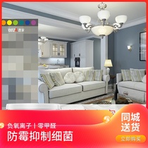 Njia Indoor Home Self-Brushed External Wall Paint Inner Wall Blackboard Lacquer Lacquered Environmental White Water Base Emulsion Varnish