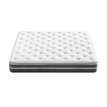 Mattress clean sleep Modern fashion Simple atmosphere Beautiful and practical quality assurance Adult soft and hard dual-use