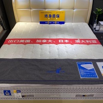 Hongyi mattress ocean classic bedroom natural latex mattress independent spring pad lazy mute custom mattress
