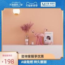 German Fima Art paint basic building materials Chengdu paint Mordos Art paint light luxury style modern simplicity