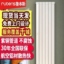 Rubens radiator fashion energy-saving environmental protection home radiator heating more peace of mind Model Maitreya 9590
