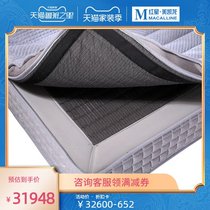 Eclpse Iris electric Smart mattress light luxury modern simple double bed master bedroom multi-function