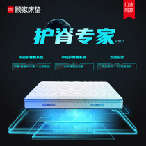 (Store Same Model) Gujia Home Ridge Protection Home Thickened Student Latex Independent Spring Mattress Deposit